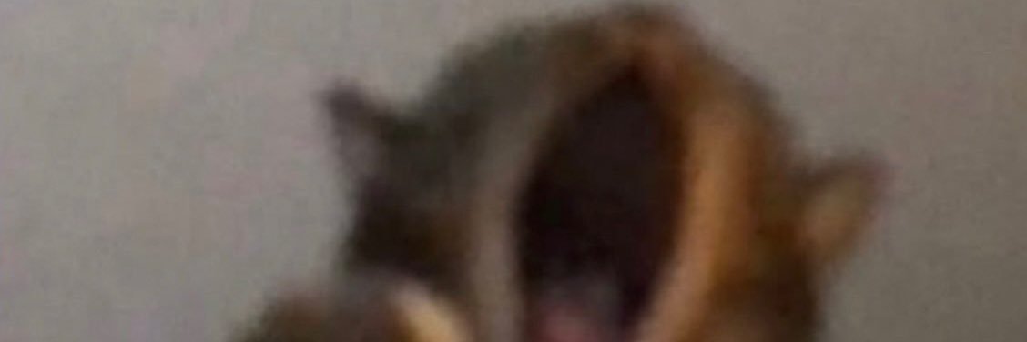 * banner
