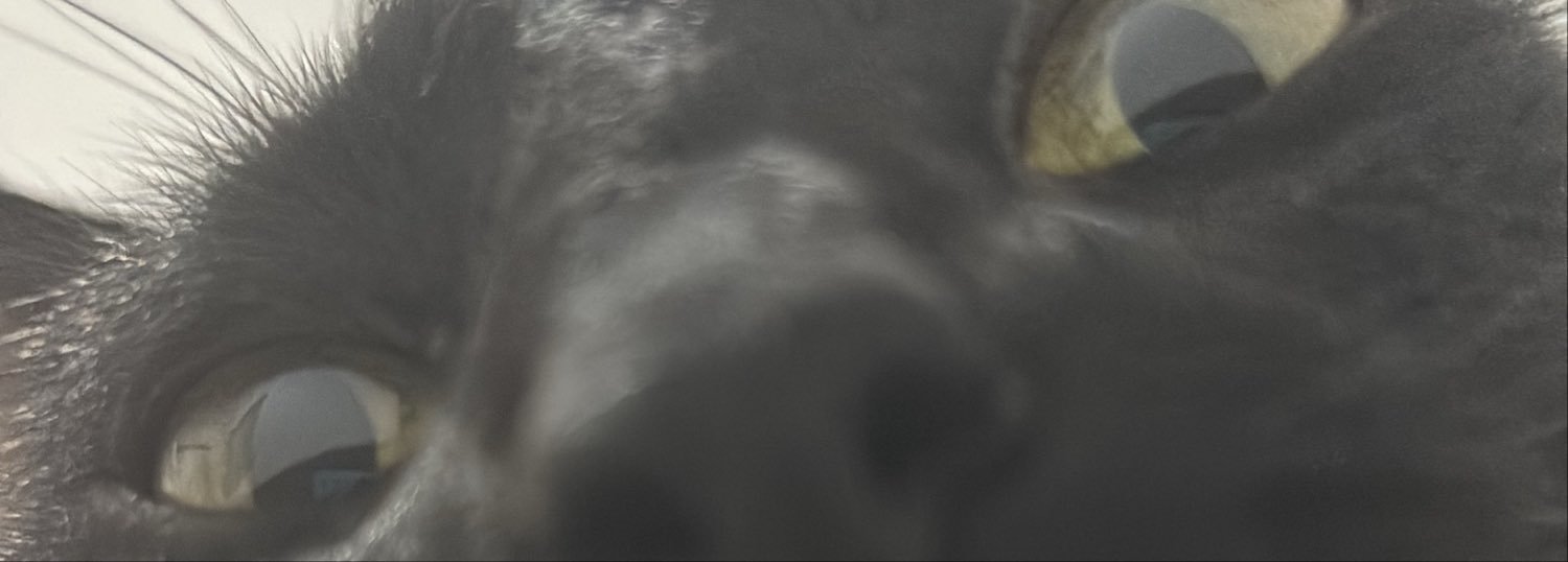 errogenetico's profile banner image