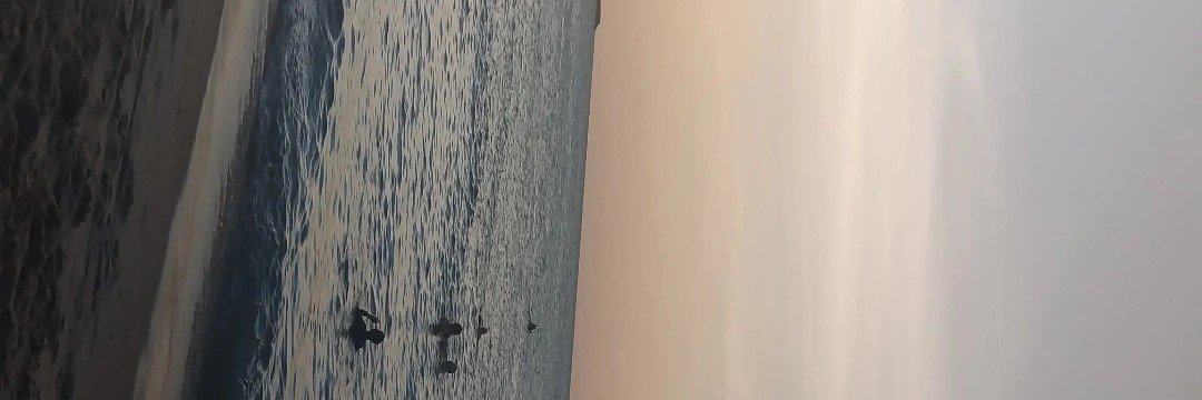 silentzintrees's profile banner image