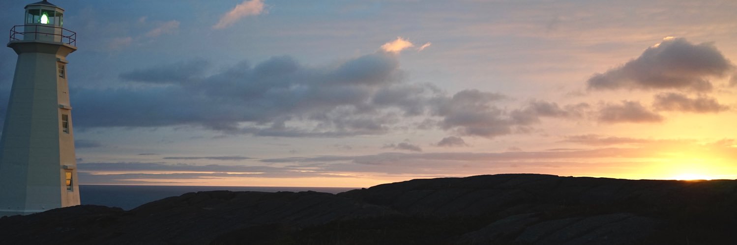 ElenaP_gc's profile banner image
