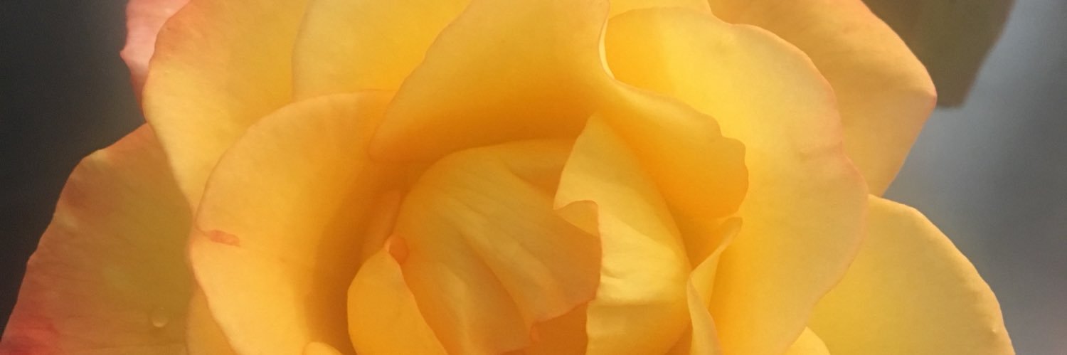 VanaBaxter's profile banner image
