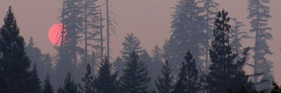 Die Schwarzen Jäger banner