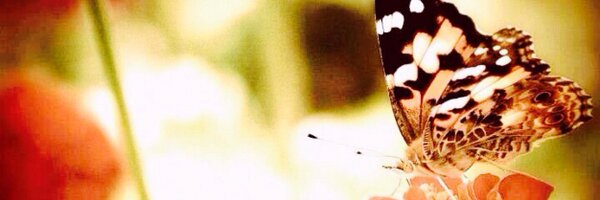 Jessgil22 Profile Banner