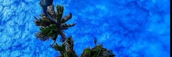 LumiNotLuni Profile Banner