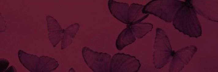socieborboletas's profile banner image