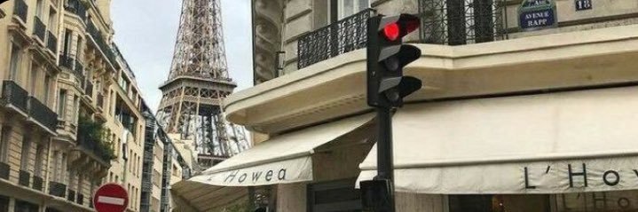 🦢 banner