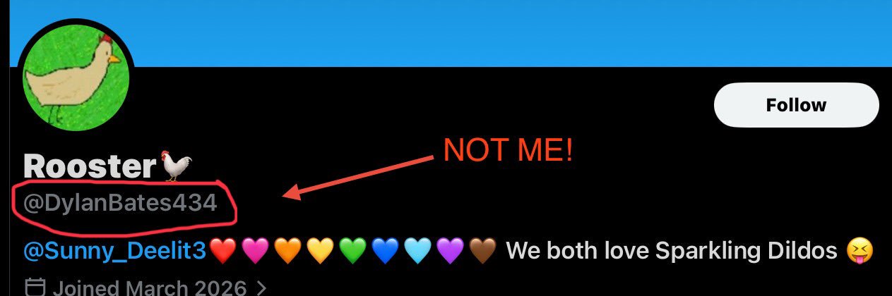 ^ - ^(^ ^)Real Rooster🐓(o^^o)(*☻-☻*) banner