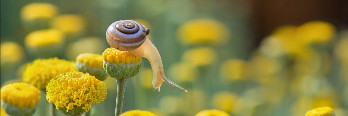 GreyliSuarez's profile banner image