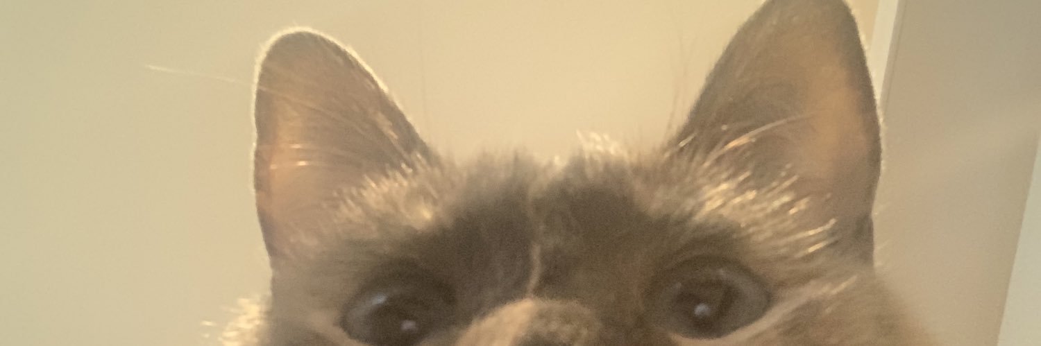 mar_ss___i's profile banner image