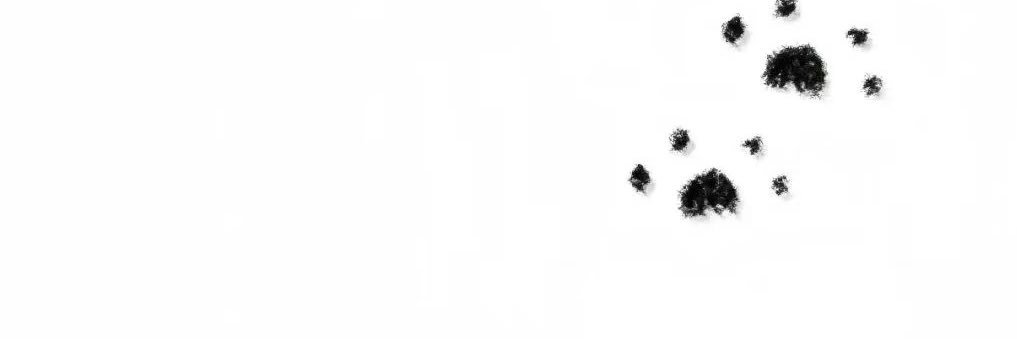 suan_7_'s profile banner image