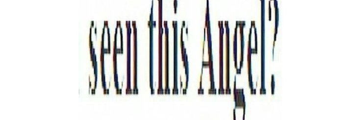 keigosboy's profile banner image