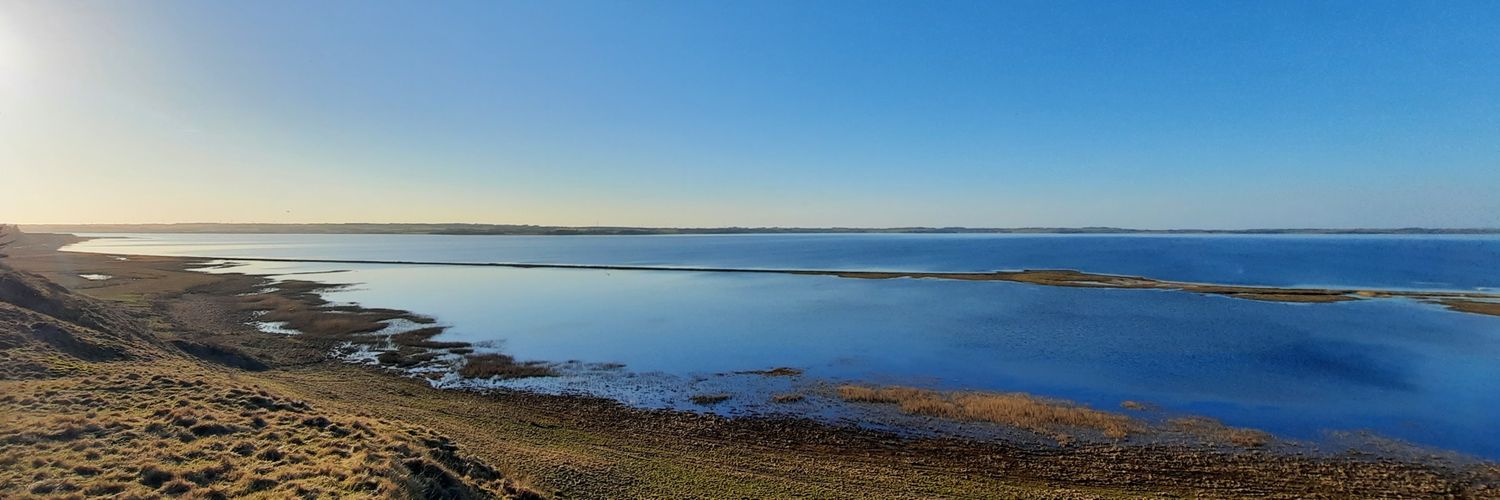 Ovenpaa's profile banner image