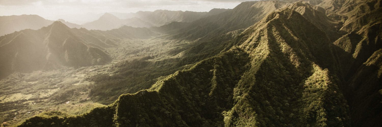 Molly Grunewald banner