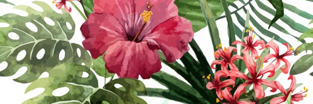 lavalavina's profile banner image