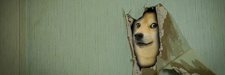 CowshitOff's profile banner image