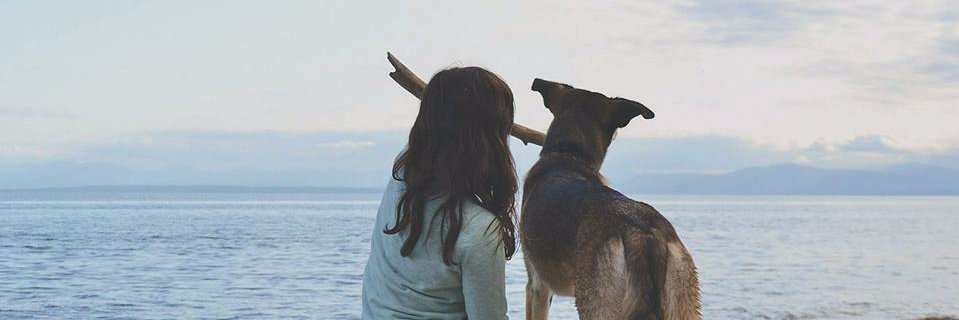 OrriG's profile banner image
