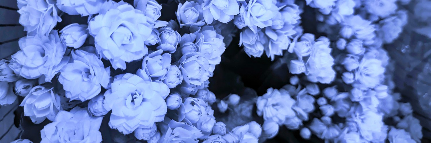 Hella ⊙⊝⊜ 💜 banner