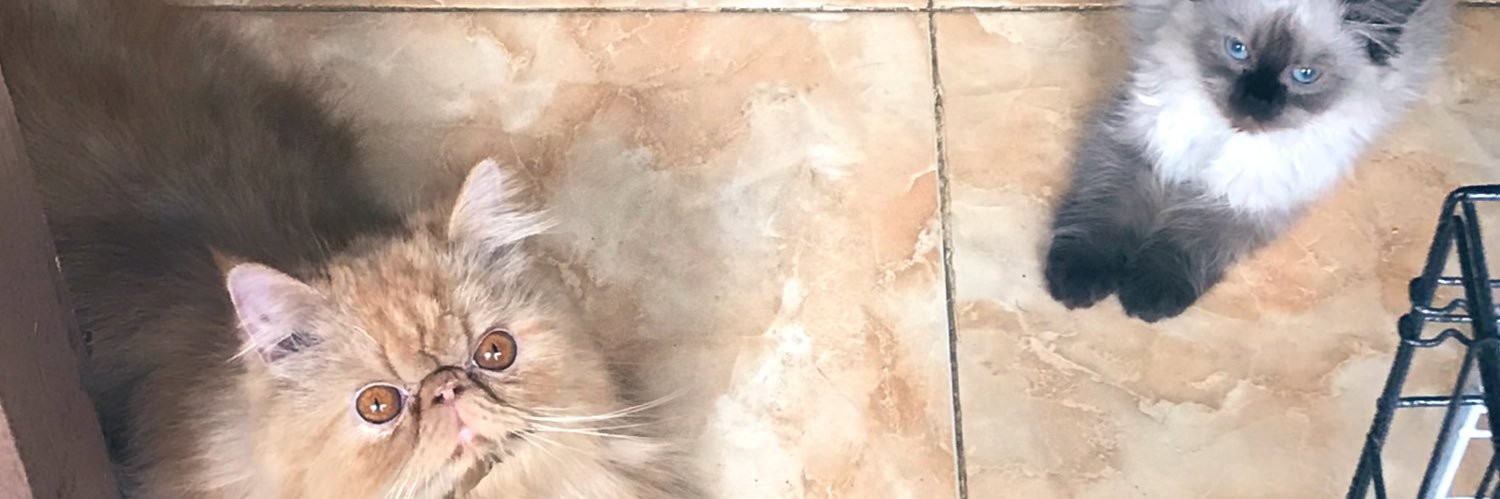 egarsinta's profile banner image