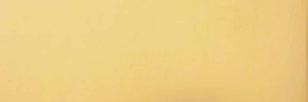 nunupuig's profile banner image