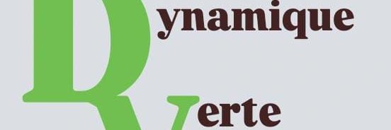 Dynamique Verte Sénégal banner