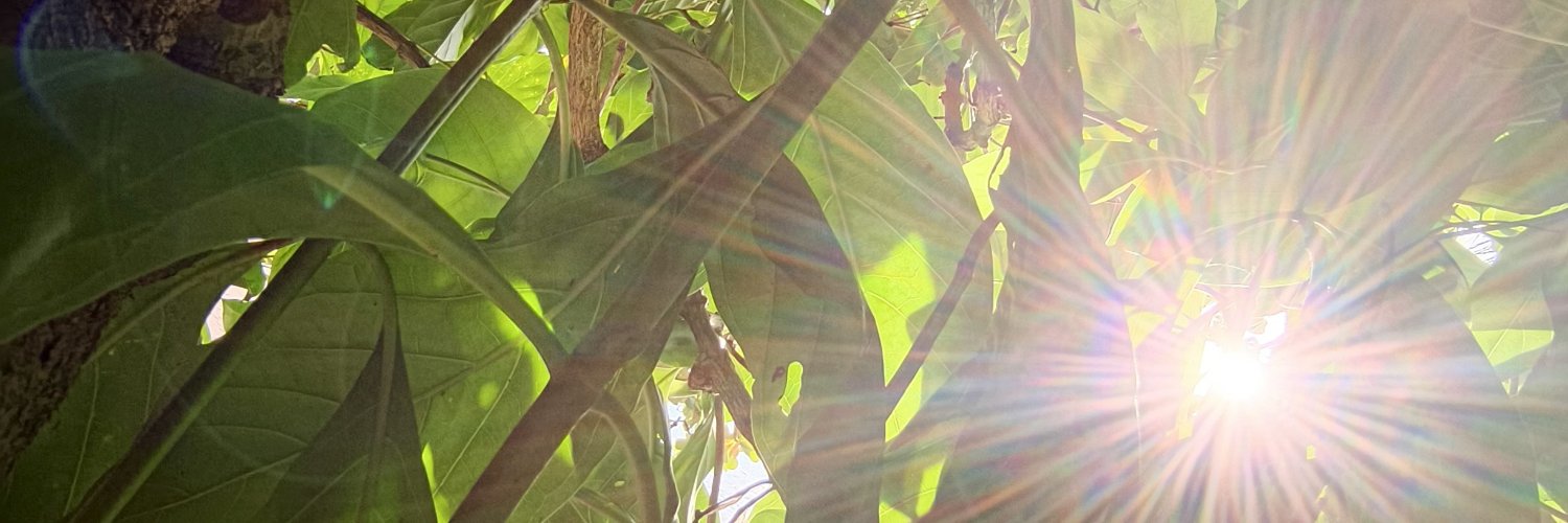 ItsRapjaLOL's profile banner image