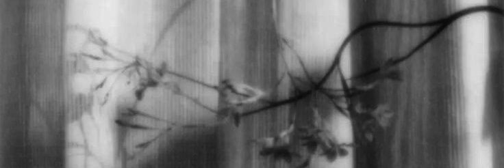 Loui. banner