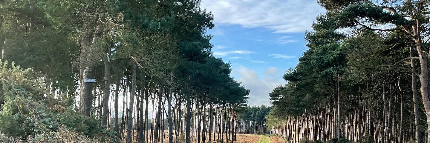 Dr Ellen Buck banner