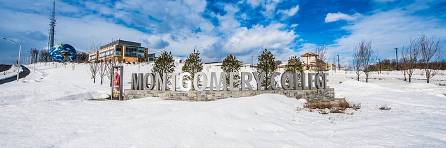 Susan Cottle Madden (she/her) banner