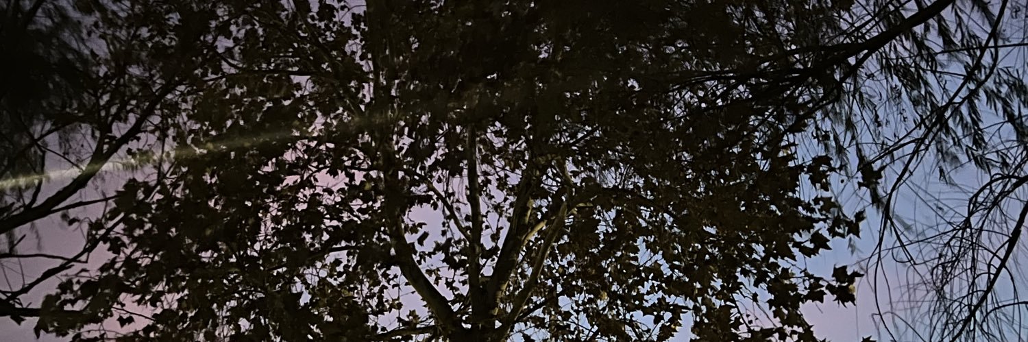 . banner