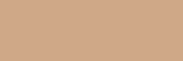 MsRachelStevens Profile Banner