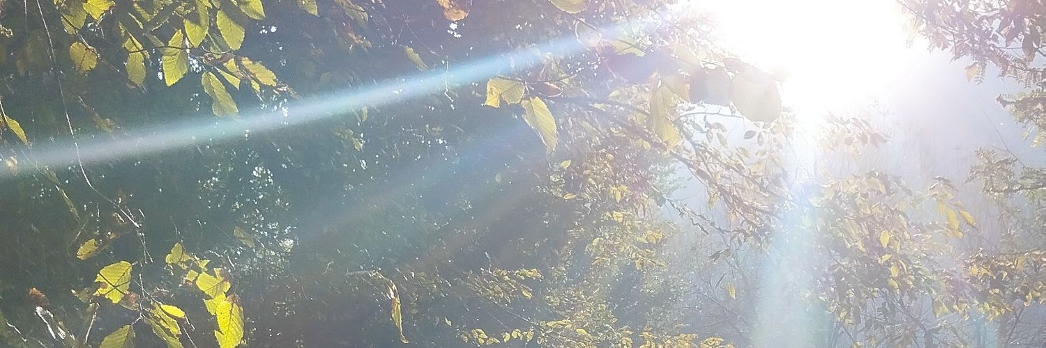 جِی جِی 🚬🇮🇷🇺🇲 banner