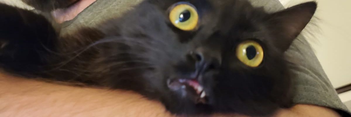 DJSaltyLove's profile banner image