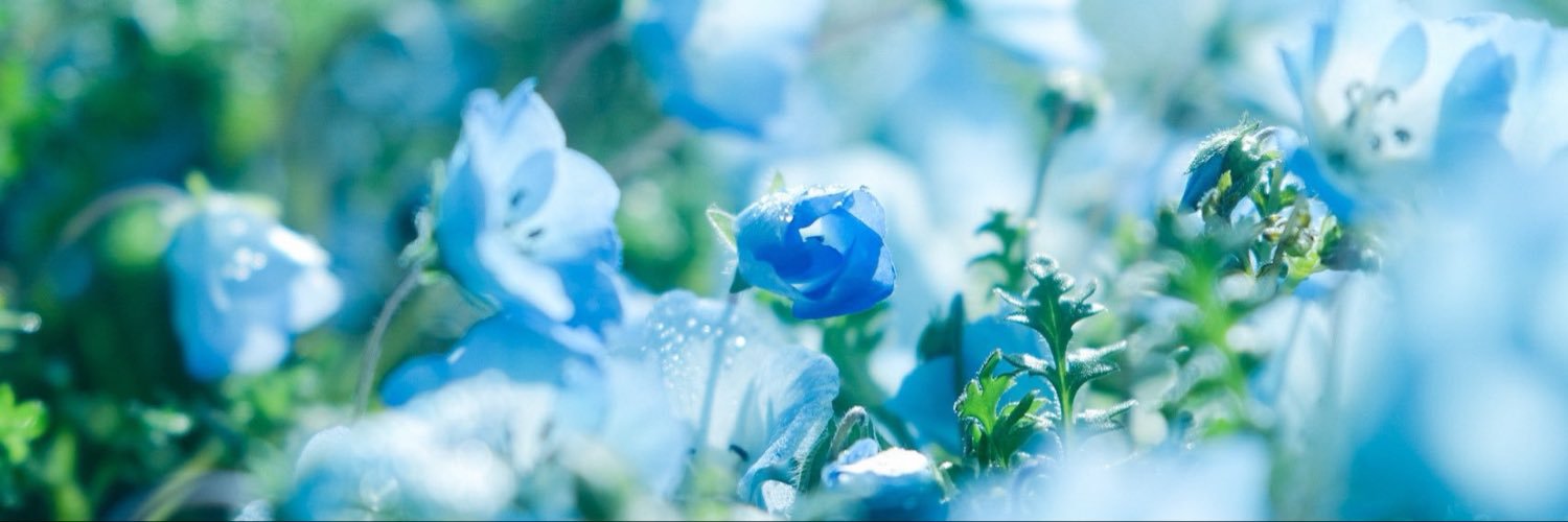 Goodbye_4you's profile banner image