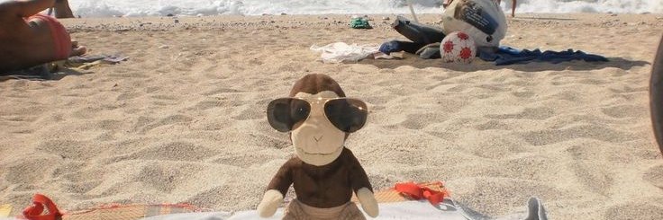 brotesticals's profile banner image