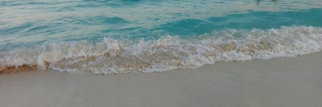 clamavaz's profile banner image