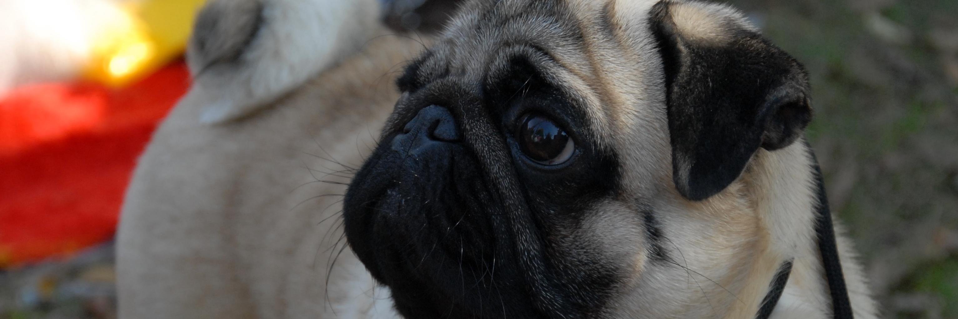 Terek's profile banner image