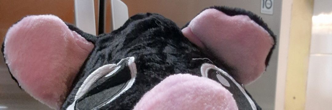 pollycondechi's profile banner image