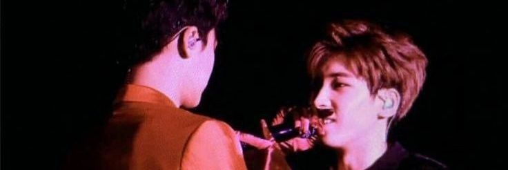 seal9yu 🦭ིྀ banner