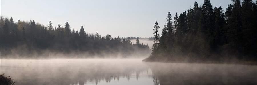 tufftitmouse's profile banner image