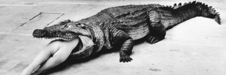 Jona Elings Knutsson banner