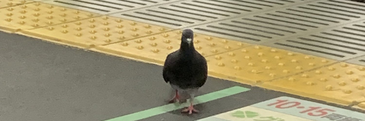 (くろ)つばめ@_(×ω×_💭)_ banner