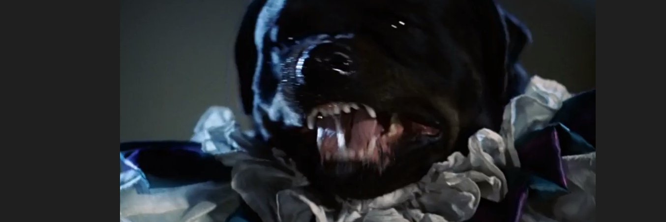 Distress_Coma's profile banner image