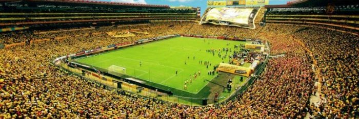 Luis Pachano 86 banner