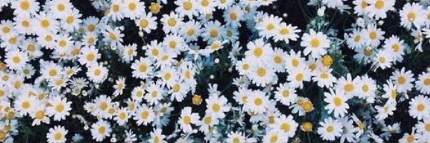 NattyFloh's profile banner image