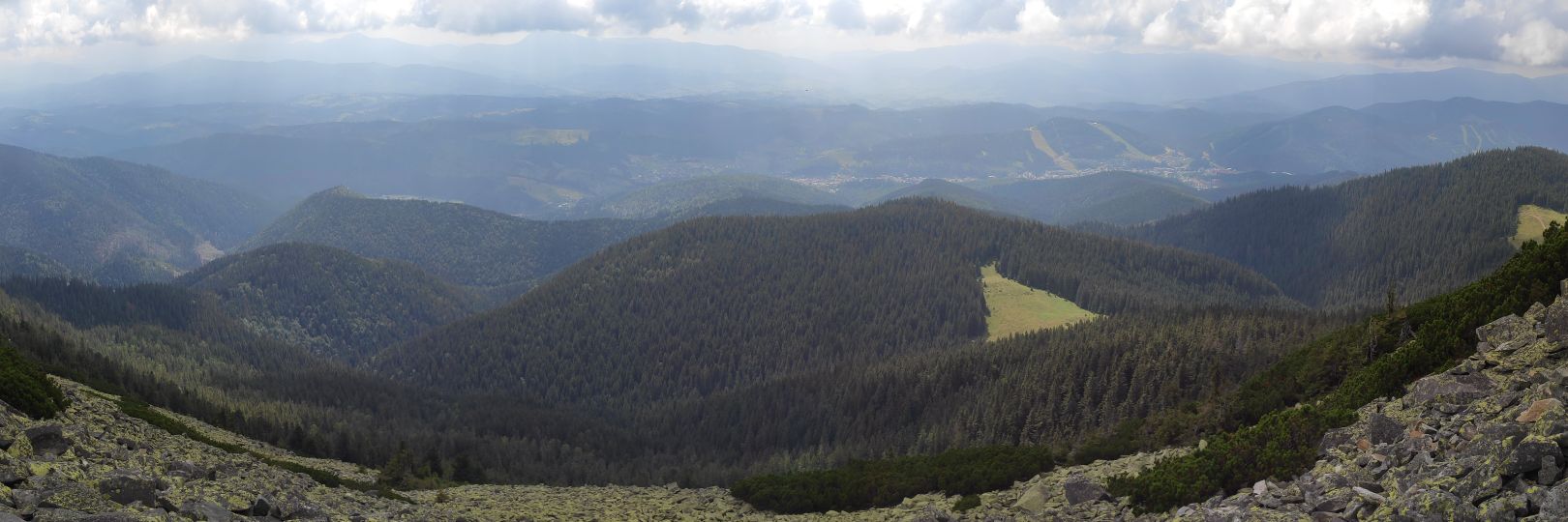 вагінокапіталістка banner