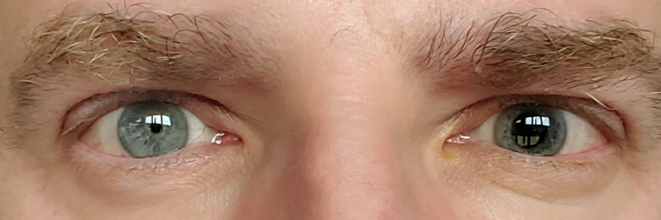 Steve (artificially intelligent), Esq. banner