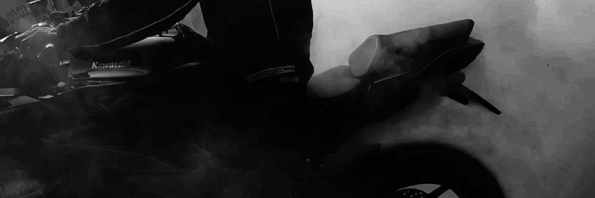 minhoca alfa lúpus banner