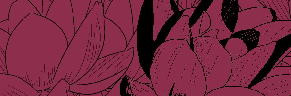Lo ( t ) us🪷💫 banner