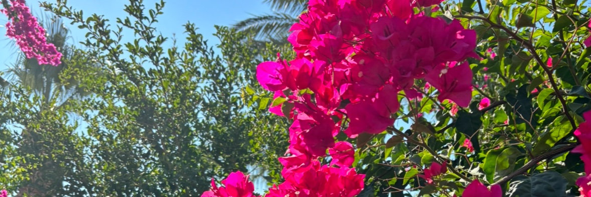 F_AlGhzali's profile banner image
