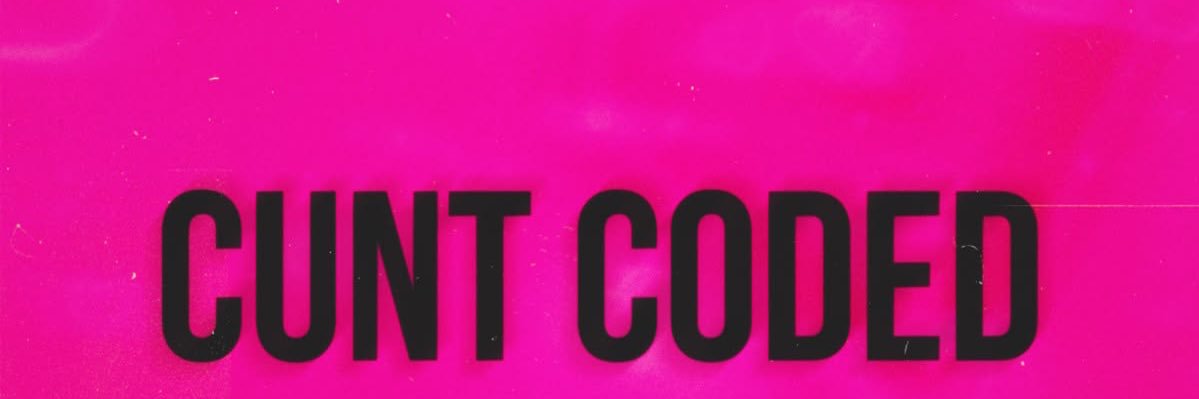 ꩜⋆˚｡nia⋆୨୧˚ banner